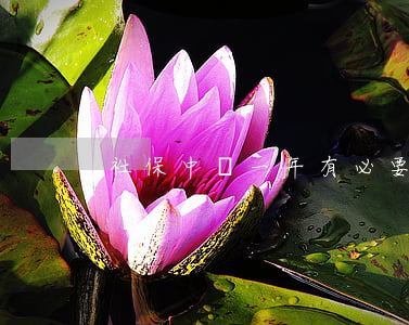 社保中斷一年有必要補(bǔ)嗎？